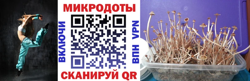 гидра   Балей  Псилоцибиновые грибы Cubensis  где купить  